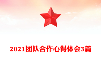 2021团队合作心得体会3篇