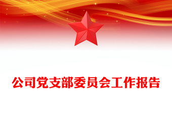 公司党支部委员会工作报告