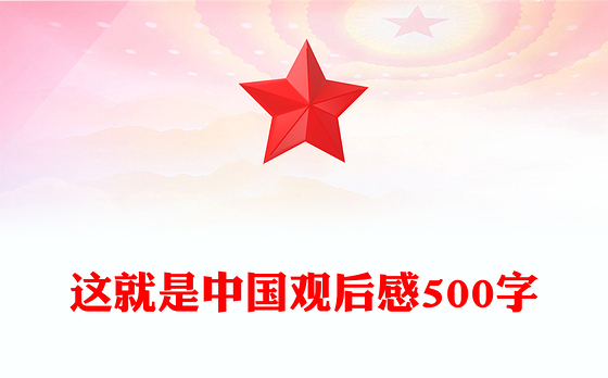 这就是中国观后感500字