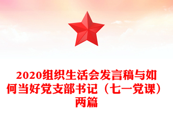 2020组织生活会发言稿与如何当好党支部书记（七一党课）两篇