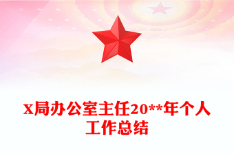 X局办公室主任20**年个人工作总结