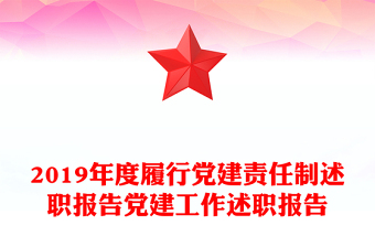 2019年度履行党建责任制述职报告党建工作述职报告