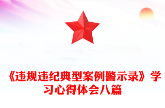 《违规违纪典型案例警示录》学习心得体会八篇
