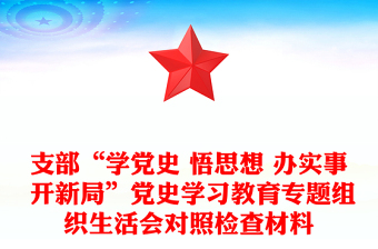 支部“学党史 悟思想 办实事 开新局”党史学习教育专题组织生活会对照检查材料