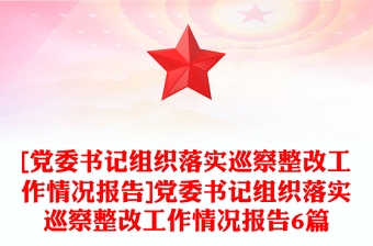 [党委书记组织落实巡察整改工作情况报告]党委书记组织落实巡察整改工作情况报告6篇
