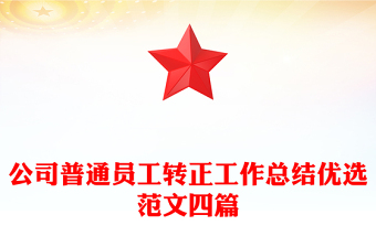 公司普通员工转正工作总结优选范文四篇