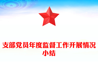支部党员年度监督工作开展情况小结