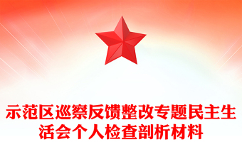 示范区巡察反馈整改专题民主生活会个人检查剖析材料