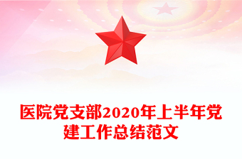 医院党支部2020年上半年党建工作总结范文