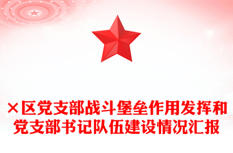 ×区党支部战斗堡垒作用发挥和党支部书记队伍建设情况汇报