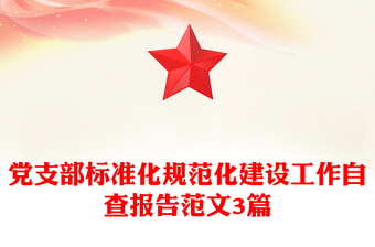 党支部标准化规范化建设工作自查报告范文3篇
