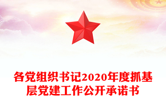 各党组织书记2020年度抓基层党建工作公开承诺书