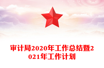 审计局2020年工作总结暨2021年工作计划