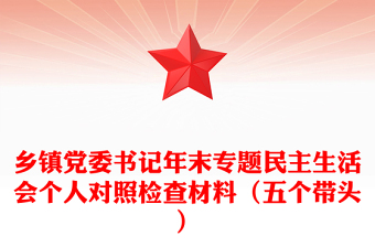 乡镇党委书记年末专题民主生活会个人对照检查材料（五个带头）