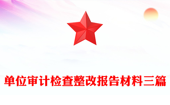 单位审计检查整改报告材料三篇