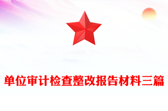 单位审计检查整改报告材料三篇