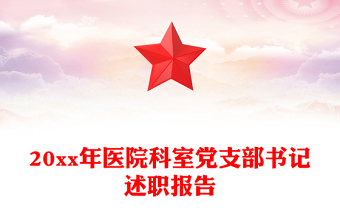 高校党支部书记述职报告