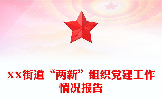 XX街道“两新”组织党建工作情况报告