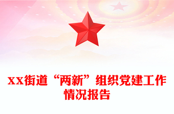 XX街道“两新”组织党建工作情况报告