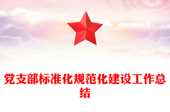 党支部标准化规范化建设工作总结