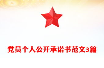 党员个人公开承诺书范文3篇