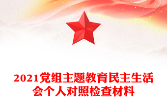 2021党组主题教育民主生活会个人对照检查材料