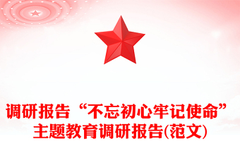 调研报告“不忘初心牢记使命”主题教育调研报告(范文)