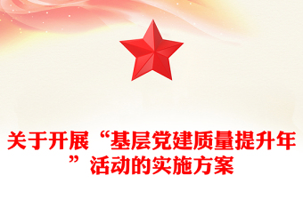 关于开展“基层党建质量提升年”活动的实施方案