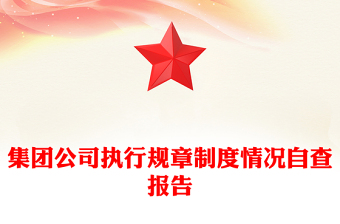 集团公司执行规章制度情况自查报告
