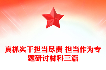 真抓实干担当尽责 担当作为专题研讨材料三篇