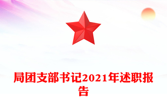 局团支部书记2021年述职报告