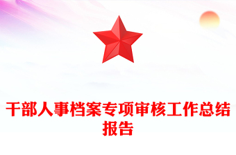 干部人事档案专项审核工作总结报告