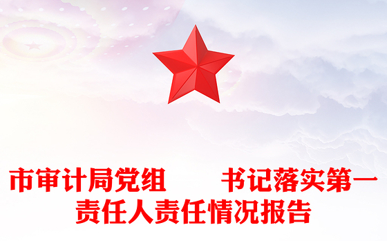 市审计局党组​​书记落实第一责任人责任情况报告