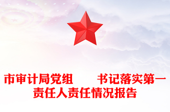 市审计局党组​​书记落实第一责任人责任情况报告