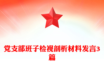 党支部班子检视剖析材料发言3篇