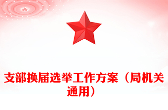支部换届选举工作方案（局机关通用）