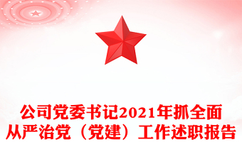 公司党委书记2021年抓全面从严治党（党建）工作述职报告