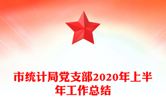市统计局党支部2020年上半年工作总结