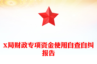 X局财政专项资金使用自查自纠报告