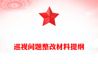 巡视问题整改材料提纲