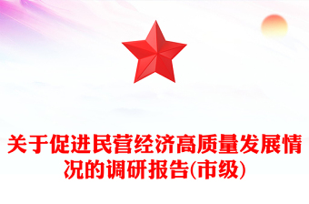 关于促进民营经济高质量发展情况的调研报告(市级)