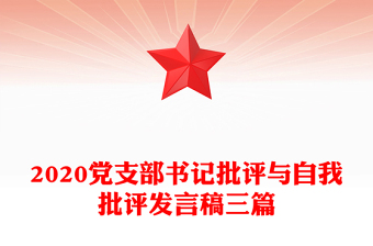 2020党支部书记批评与自我批评发言稿三篇
