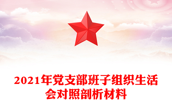 2021年党支部班子组织生活会对照剖析材料