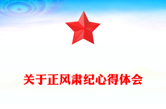 关于正风肃纪心得体会