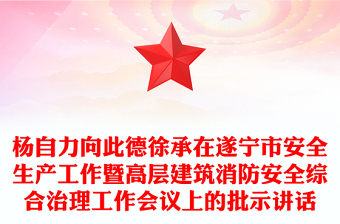 杨自力向此德徐承在遂宁市安全生产工作暨高层建筑消防安全综合治理工作会议上的批示讲话