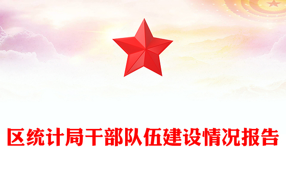 区统计局干部队伍建设情况报告