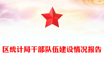 区统计局干部队伍建设情况报告