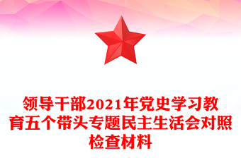 领导干部2021年党史学习教育五个带头专题民主生活会对照检查材料