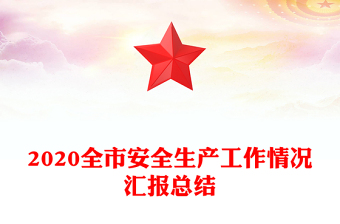 2020全市安全生产工作情况汇报总结