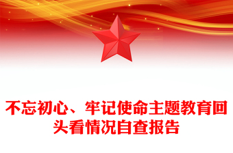 不忘初心、牢记使命主题教育回头看情况自查报告